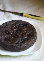Vegan GF Cranberry Chocolate Cake Recipe