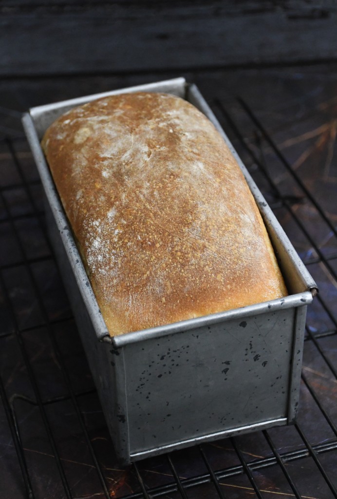 Basic Sandwich Loaf Recipe