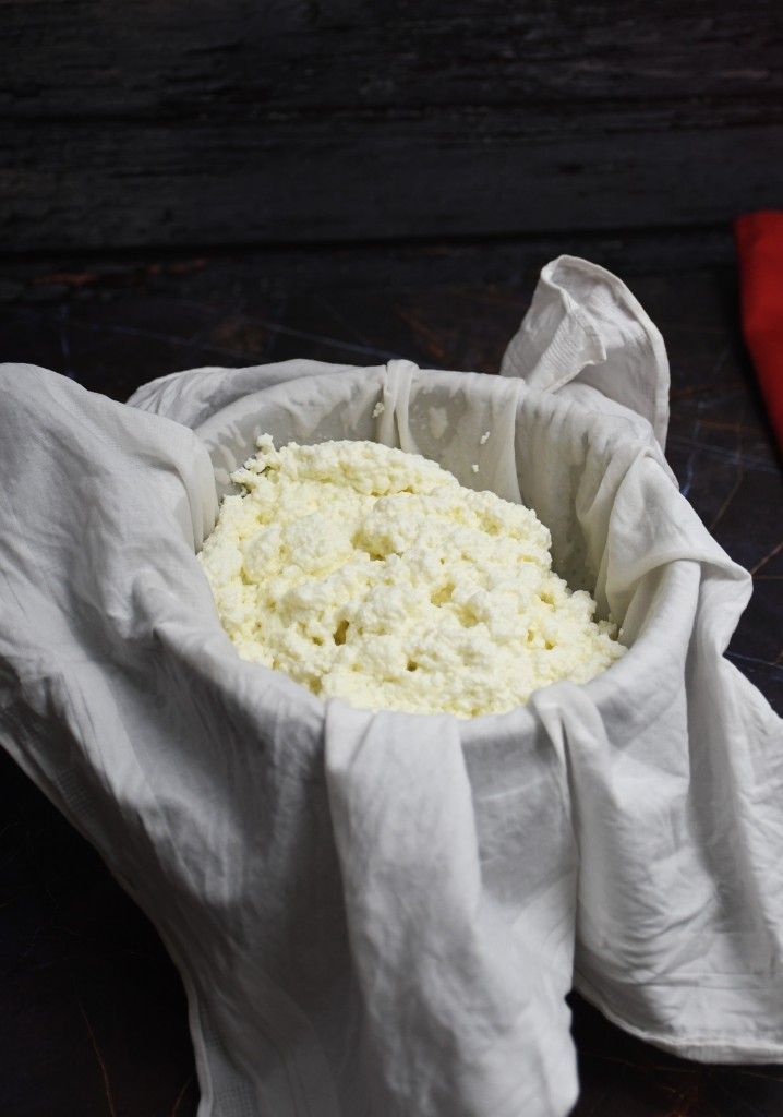 Homemade Ricotta Cheese Recipe