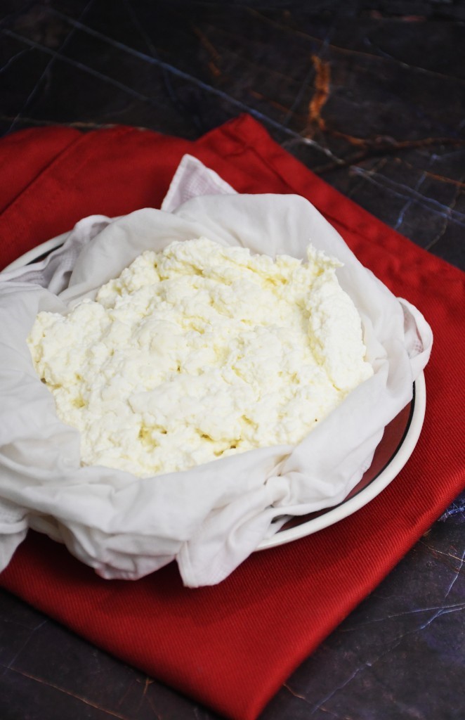 Homemade Ricotta Cheese Recipe